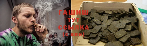 PSILOCYBIN Алзамай