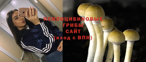 меф Алексин