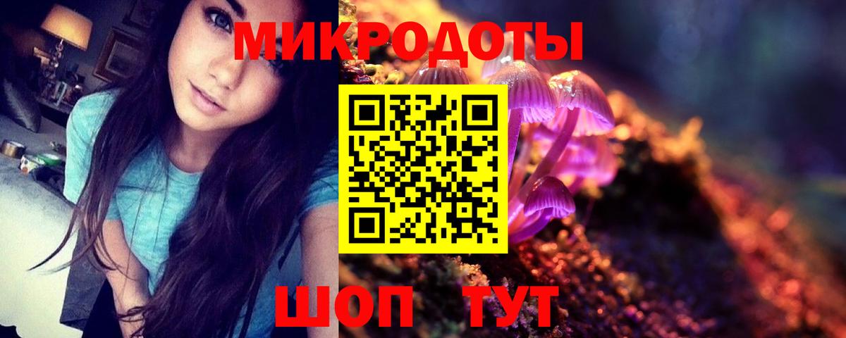 Псилоцибиновые грибы Cubensis Углич