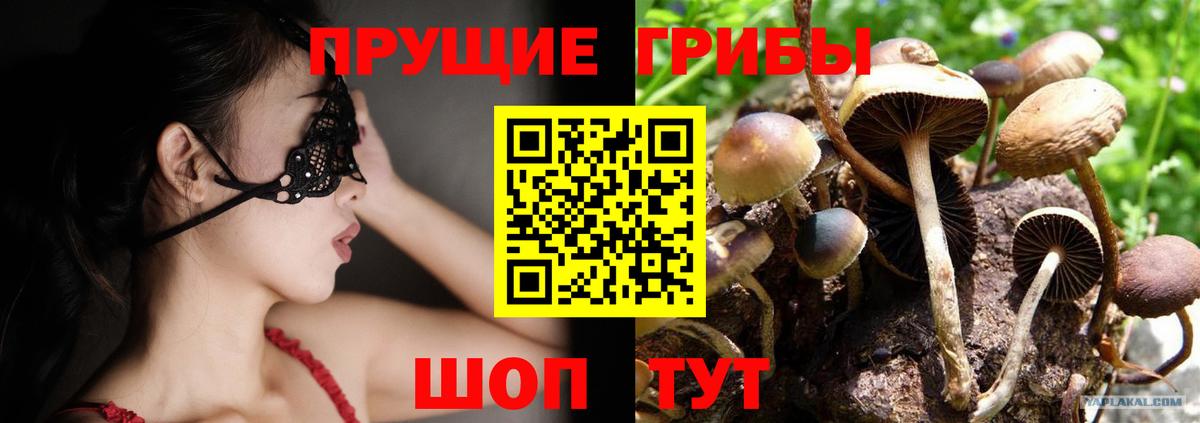 Галлюциногенные грибы GOLDEN TEACHER  Вход с VPN  купить   Углич 